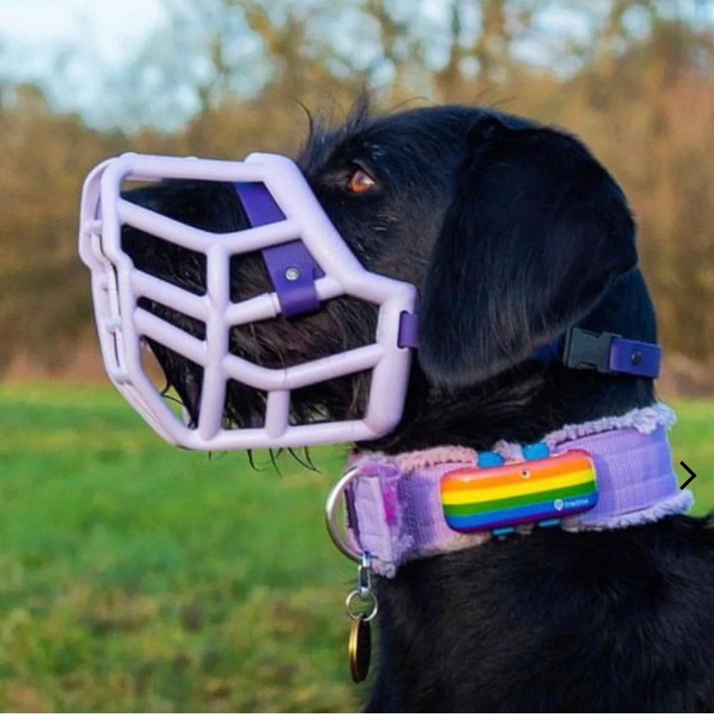 The Muzzle Movement Size Tolly Muzzle